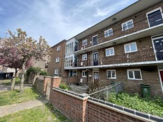 Pink Trees place! - 3