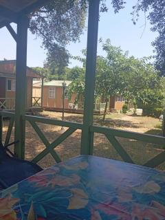 Bungalow charmant à Sorbo-Ocagnano avec jardin - 4