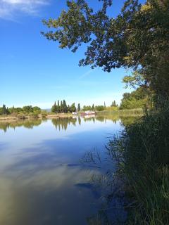 Le Chant des Cigales - 2