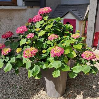 Maison aux portes du centre historique de Dijon avec 3 chambres et garage - 7