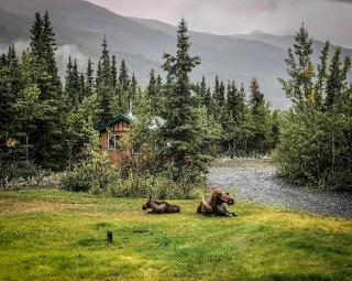Alaskan Cabin in the Beautiful Knik River Valley with Panoramic Mountain Views, Palmer - 9