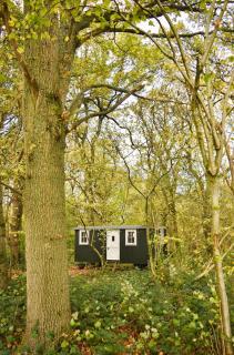 Shepherd Hut in the woods - 9