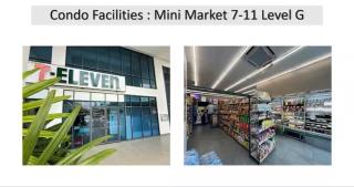 The Colony By Infinitum - 1