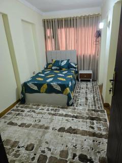 شقه مفروشه للايجار في عباس العقاد - 8