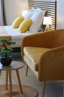 Studio de charme au Gosier, vue mer, accès plage direct - 9