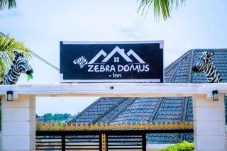 Zebra Domus - 8