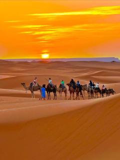 Merzouga Luxury glamping - Merzouga - 0