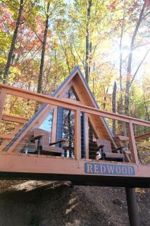 Cozy Tree Cabin with Wonderful Views from the Deck by Tappan Lake in Ohio - 9