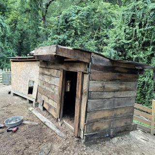 Remote Mountain A-Frame with BBQ Perfect for Nature Lovers in West Virginia - 3