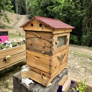 Remote Mountain A-Frame with BBQ Perfect for Nature Lovers in West Virginia - 1