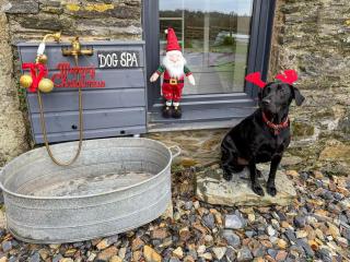 The Old Cattle Shed - 9