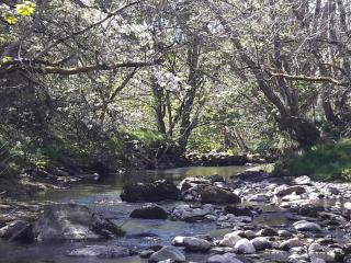 Highland River Cottage with Hot Tub - 6