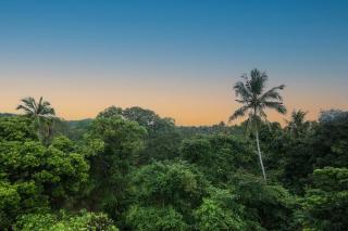 Wild Bliss Mirissa - 3