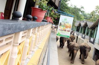 Green Land Guest House - 5