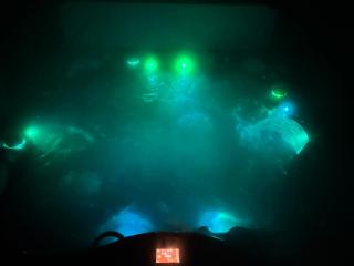 Newer Cozy Guest Cottage with Saltwater Spa! - 7