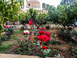 4 Seasons Suites Paradise Athens Airport 2 - Markopoulo - 5