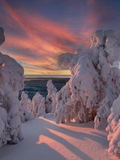 Villa Mastonrinne - 1