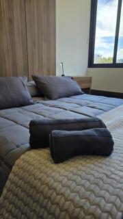 Departamento en el Parque Fidel Anze - 3