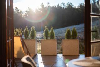 Apartament Lola 5 - 6