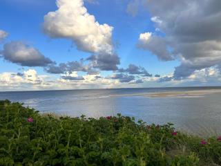 Ferienwohnung Oberdeck - 8