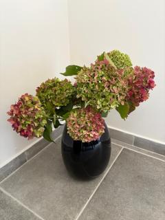 La Grange de Molière - 7