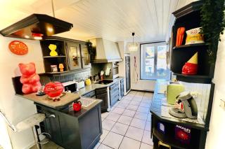 Family & Fun! Pedestrian center near Lake and Ski - 8