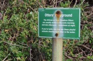 2 Spindrift Port Stfrancis - 2