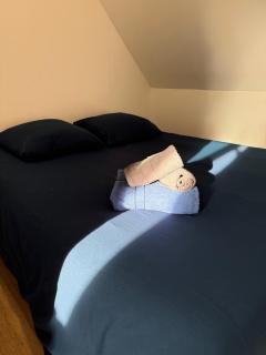 COZY Votre cocon douillet à Epernon - 7