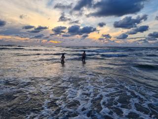 Bloemendaal Hotel Collection Apartments - 8