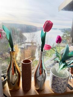 Swedish Beach House in Stockholm Archipelago, Skärgårdsstuga i Roslagen - 5