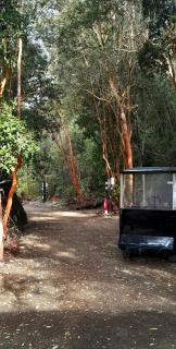 Camping Patagonfox - 8