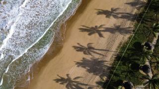 Bangalô 19 porto de galinhas - 5