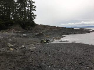 The Great Escape - Port Renfrew - 2