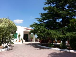 Oasi Villa Anthea - 5