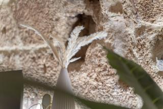 La Casetta in Centro Alghero - 1