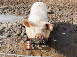 The Old Abbey Farmhouse - Stay at Quarr Abbey Monastery - Pet-Friendly Farmhouse with History & Countryside Views, surrounded by woodland & nature - 9