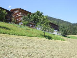 Ferienwohnung Lehenhof - Ried im Zillertal - 9