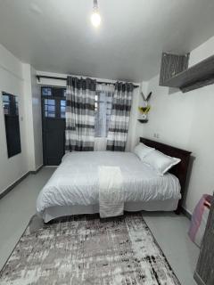 Lavish Apartment - 0