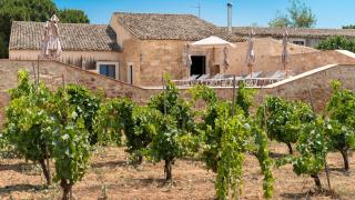 Vigna Di Pettineo - 3