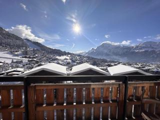 Appartement de 45m² avec balcon, 5 couchages, à 300m des pistes et commerces, bien équipé - FR-1-572-103 - 1