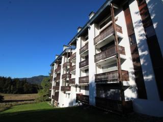 Studio chaleureux, balcon sud, 4 pers., proche centre et pistes - Les Carroz - FR-1-572-218 - 1