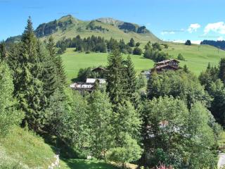 Duplex 2 chambres pour 6 - au pied des pistes - Le Grand-Bornand - FR-1-458-112 - Le Grand-Bornand - 1