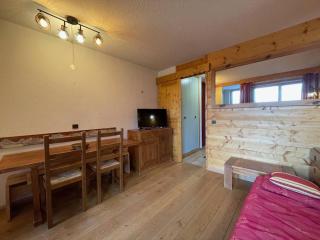 Appartement ski-in/out, proche ESF et commerces, animaux acceptés - FR-1-356-530 - 2