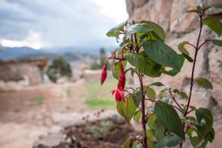 Pachamama Hampina Wasi Ancestral Center - 1
