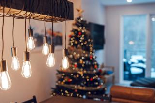 Le Yéti de Tremblant - 3