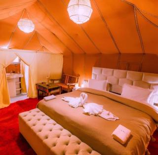 Majestic Dunes Luxury Camp - 7