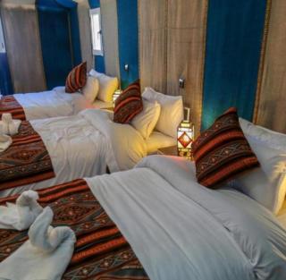 Majestic Dunes Luxury Camp - 8