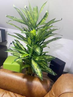 HiLL STAY tvoj odmor ka severu - 3