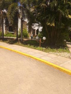 Cool n calm - Matsangoni - 1