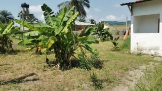 Chambre a cap skirring avec acces piscine - 7
